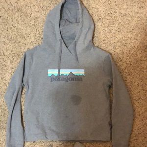 Grey Patagonia Hoodie